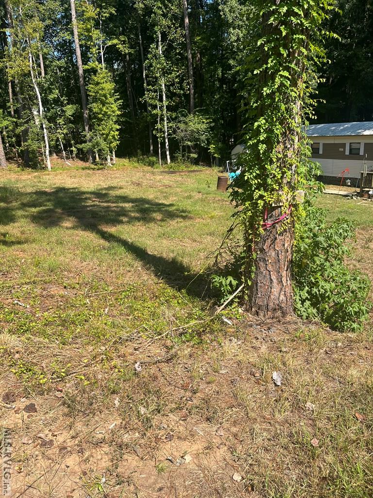 254 Feather Trail Property Photo 5