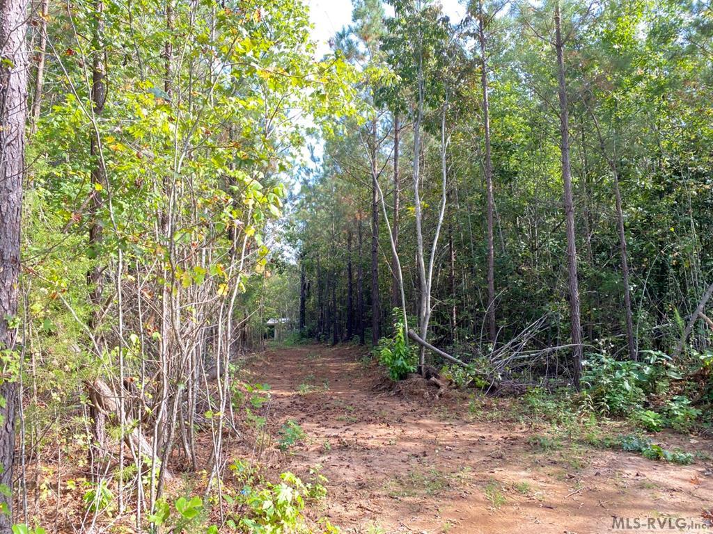 18.62 Ac Squirrell Hollow Rd Property Photo 1