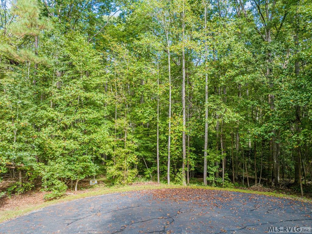 Tbd Buck Springs West Property Photo 13