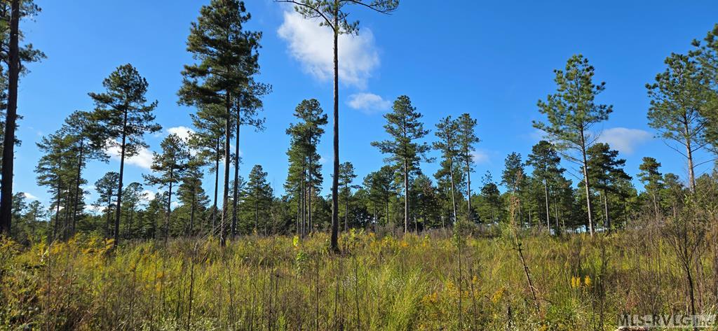 Lot 8 Millville Rd Property Photo 1