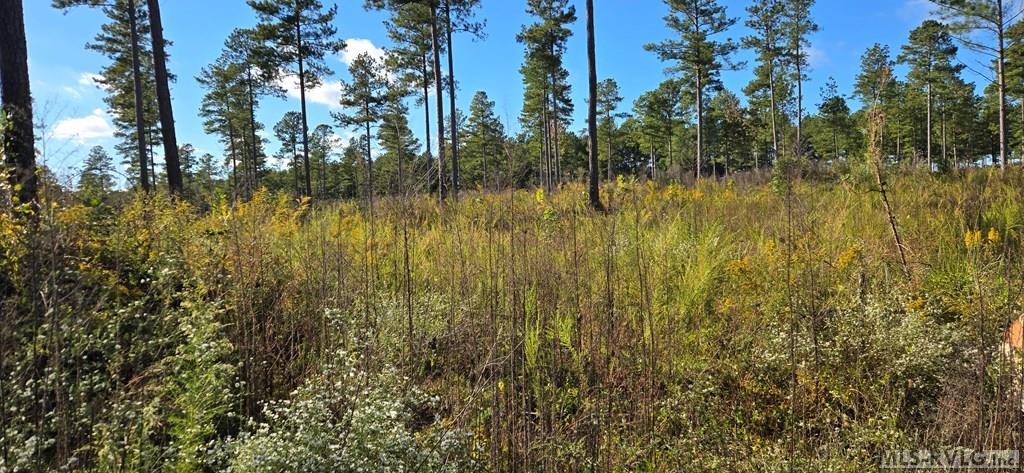 Lot 8 Millville Rd Property Photo 3