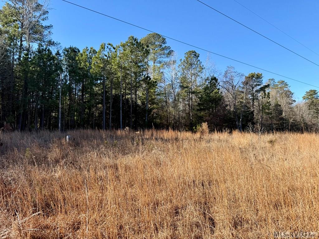 201 Hawtree Way Property Photo 14