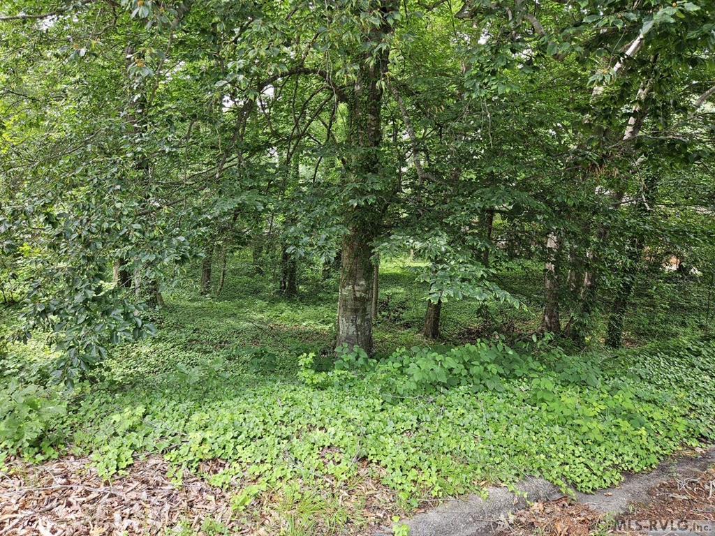 Lot 88r Old Farm Road Property Photo 1