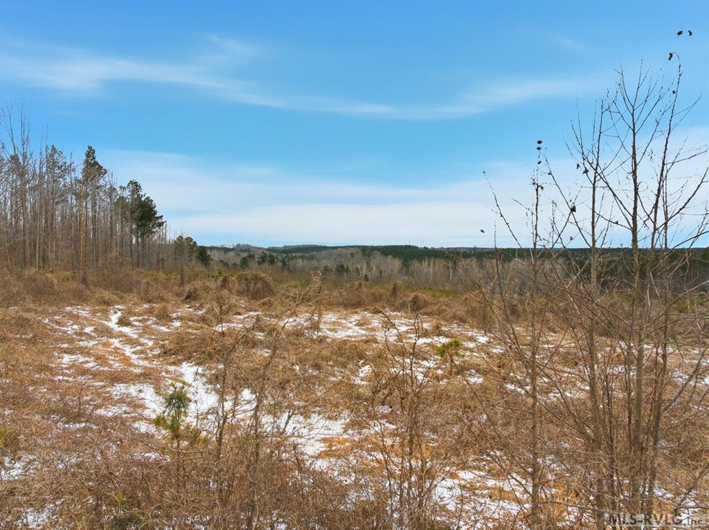 0 Evans Creek Road Property Photo 4