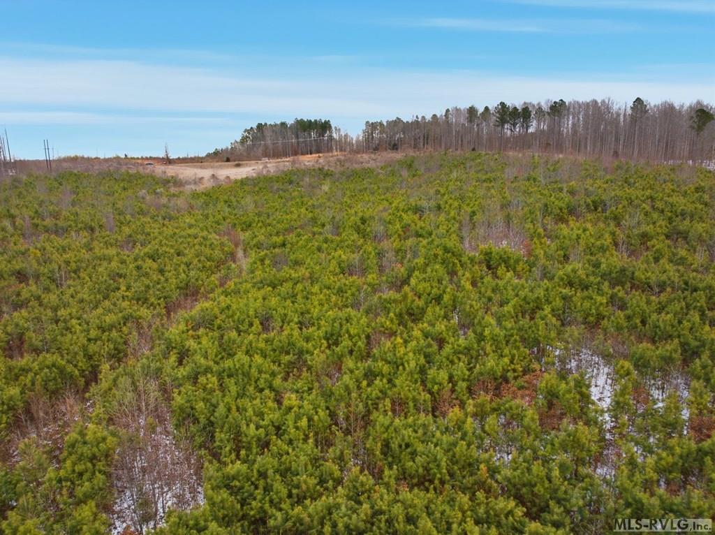 0 Evans Creek Road Property Photo 14