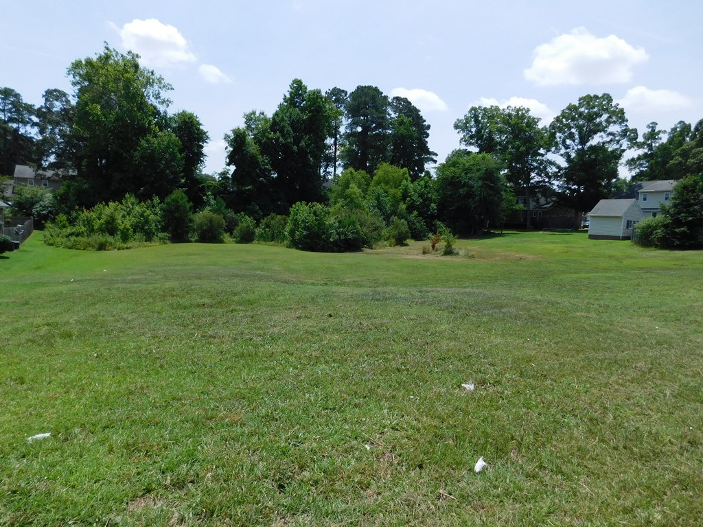 0 Chestnut Street Property Photo 2