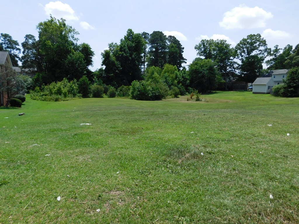 0 Chestnut Street Property Photo 3