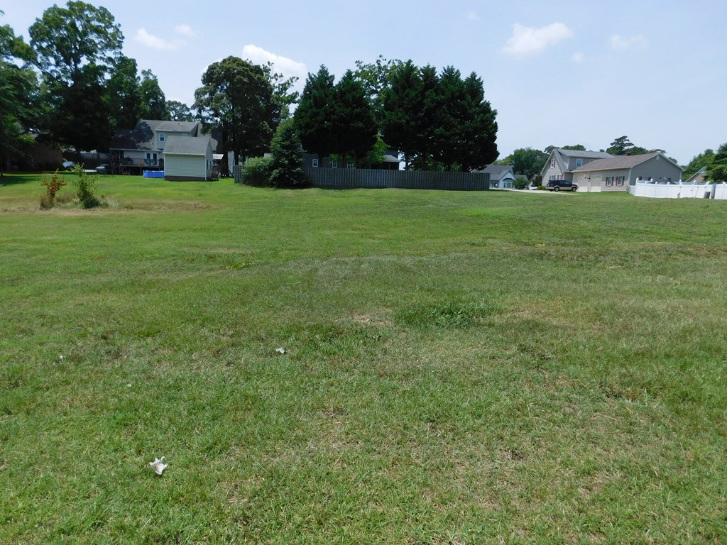 0 Chestnut Street Property Photo 4