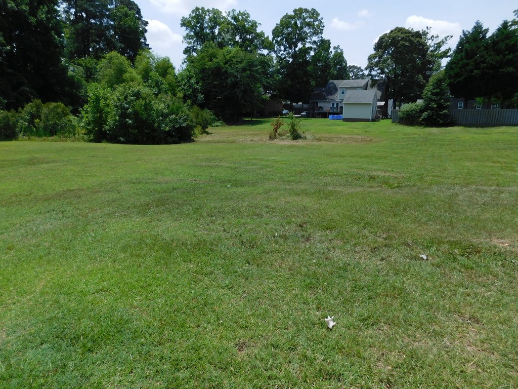 0 Chestnut Street Property Photo 5