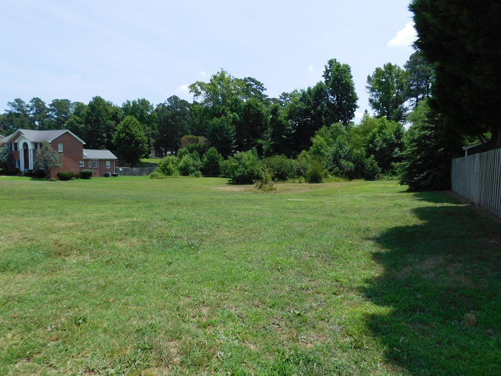 0 Chestnut Street Property Photo 7