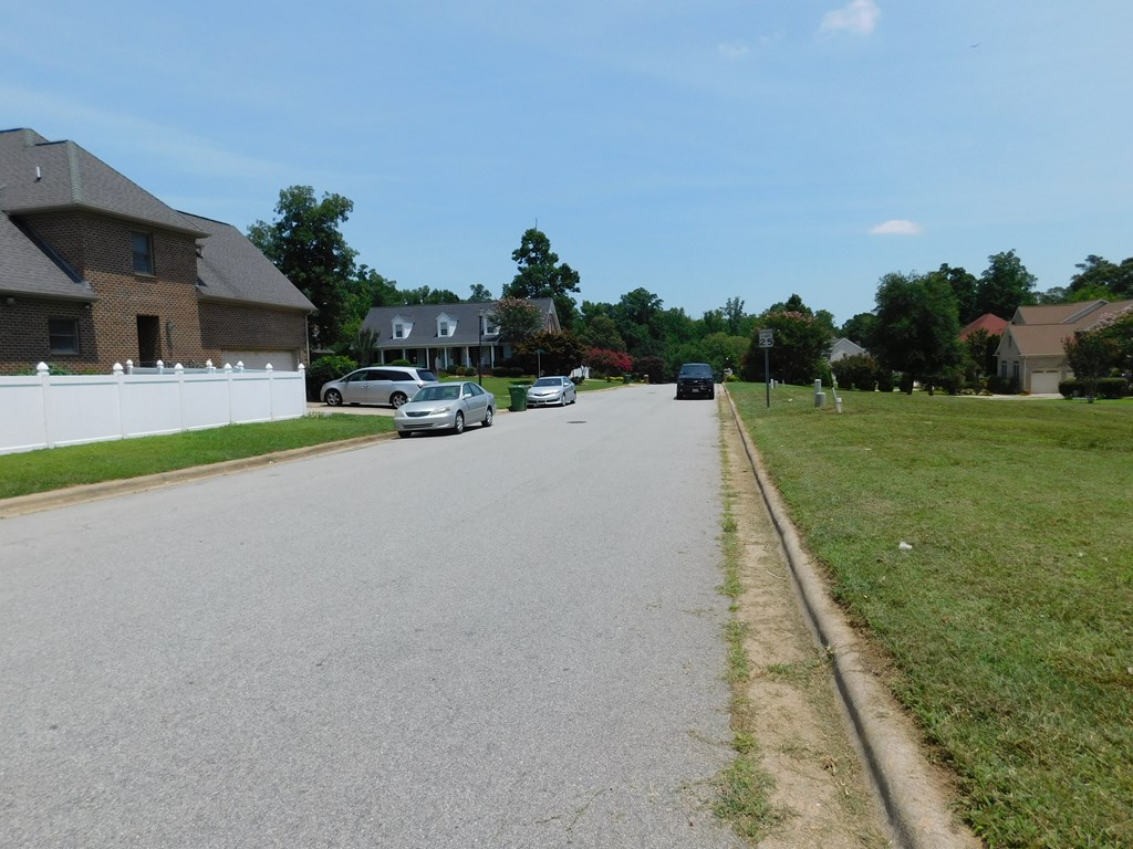 0 Chestnut Street Property Photo 8