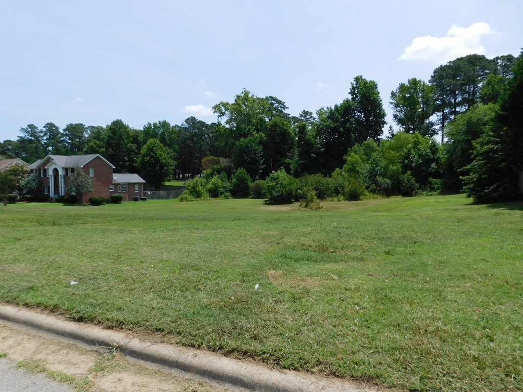 0 Chestnut Street Property Photo 10