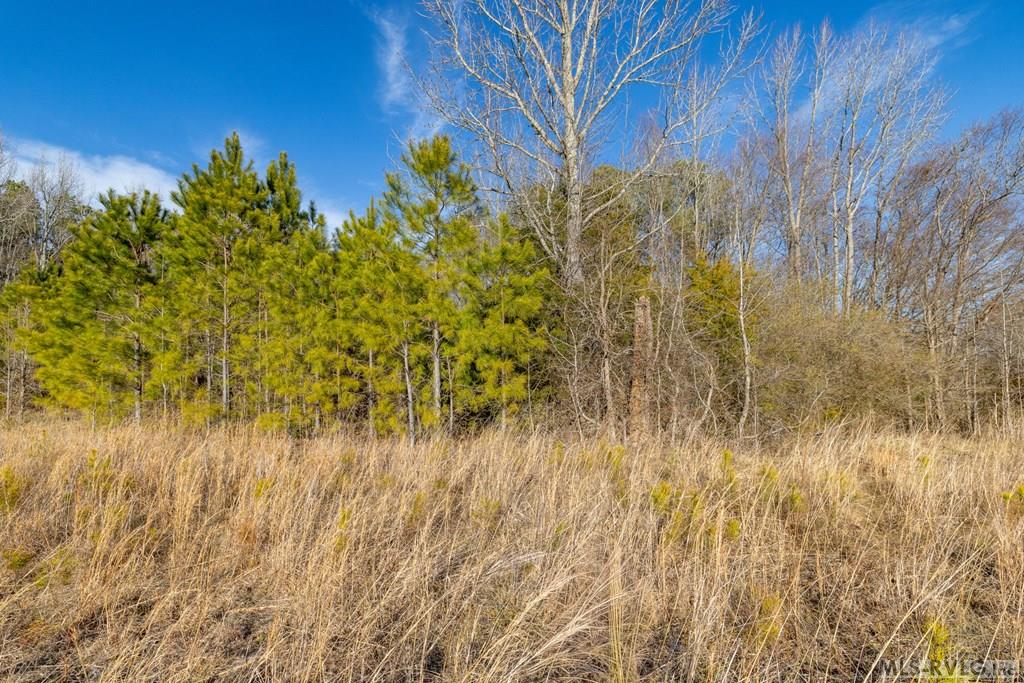 0 Highway 58 Property Photo 19