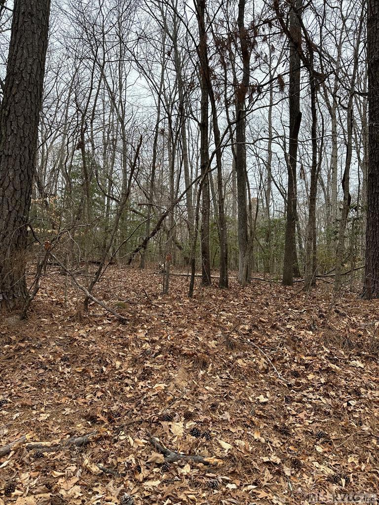 0 Occoneechee Trail Property Photo 1