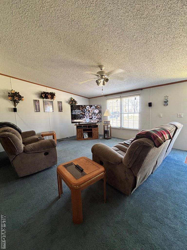 1629 Stack Powell Road Property Photo 11
