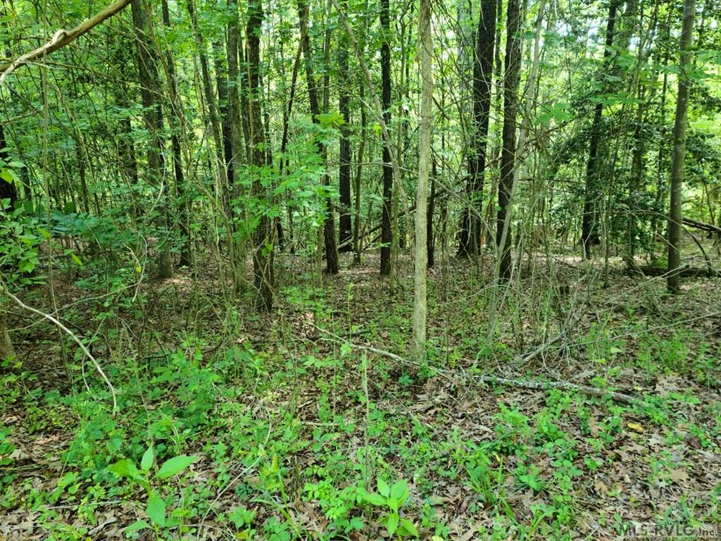 Lot 60 Windward Passage Property Photo 5