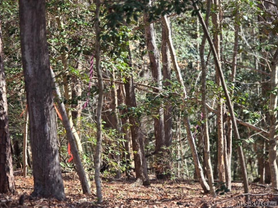 Lot 60 Windward Passage Property Photo 9