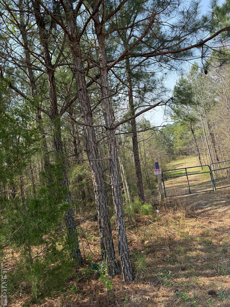 1280 Schloss Rd Property Photo 5