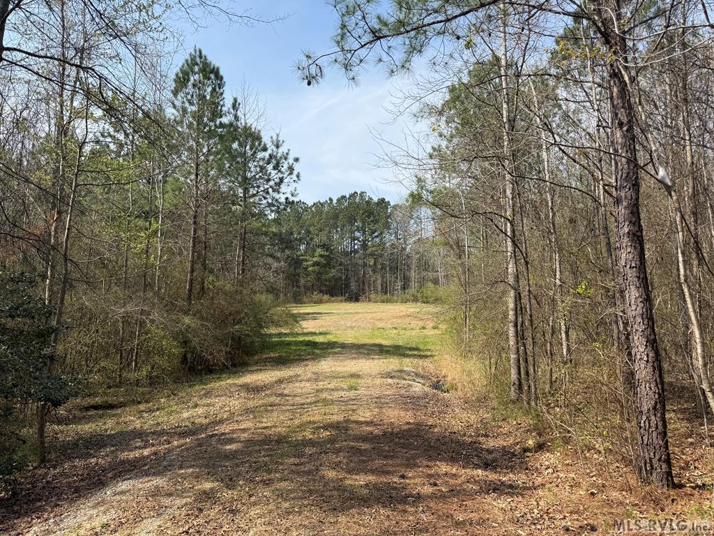 1280 Schloss Rd Property Photo 8