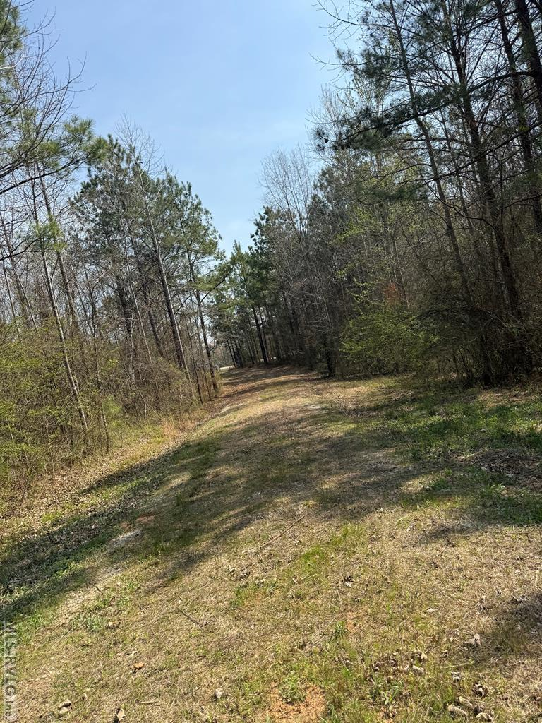 1280 Schloss Rd Property Photo 10