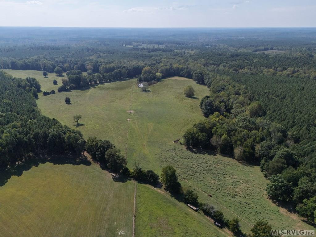 4943 Grandy Property Photo 5