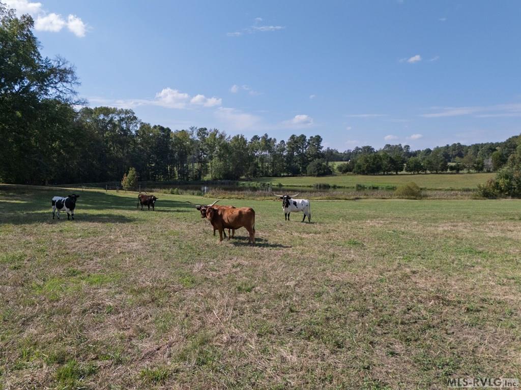 4943 Grandy Property Photo 37