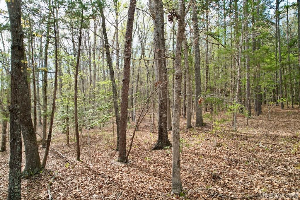3300 Plank Rd Property Photo 10