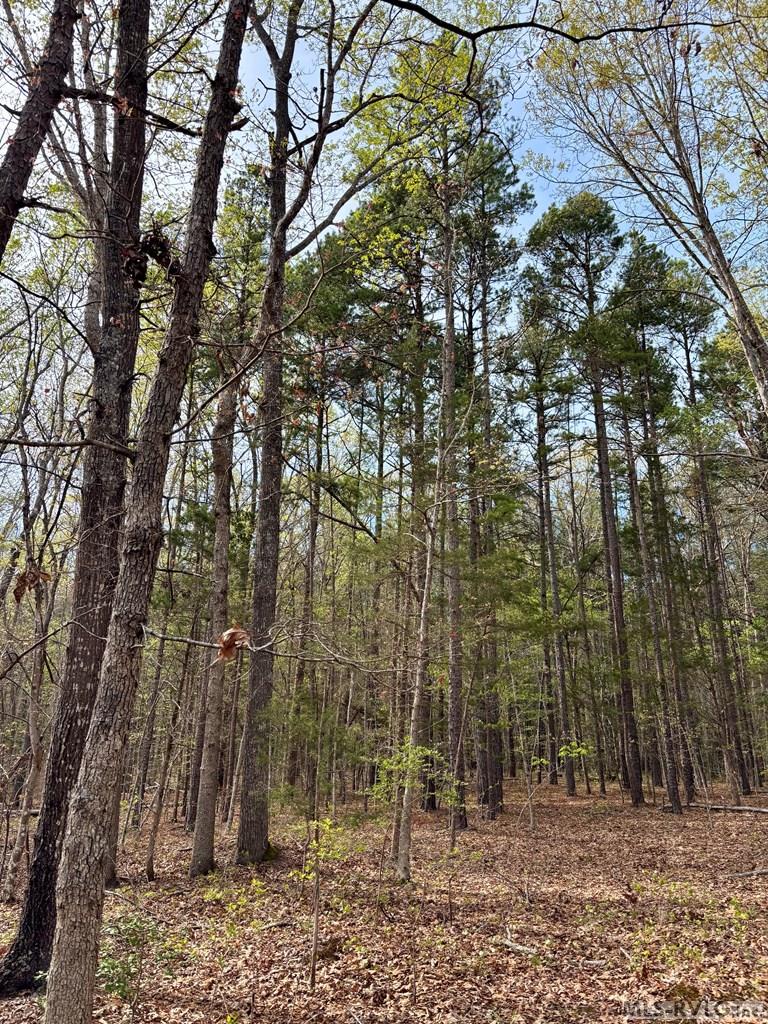 3300 Plank Rd Property Photo 17