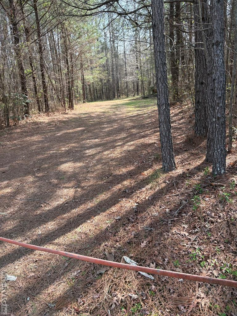6152 Hunt Road Property Photo 1