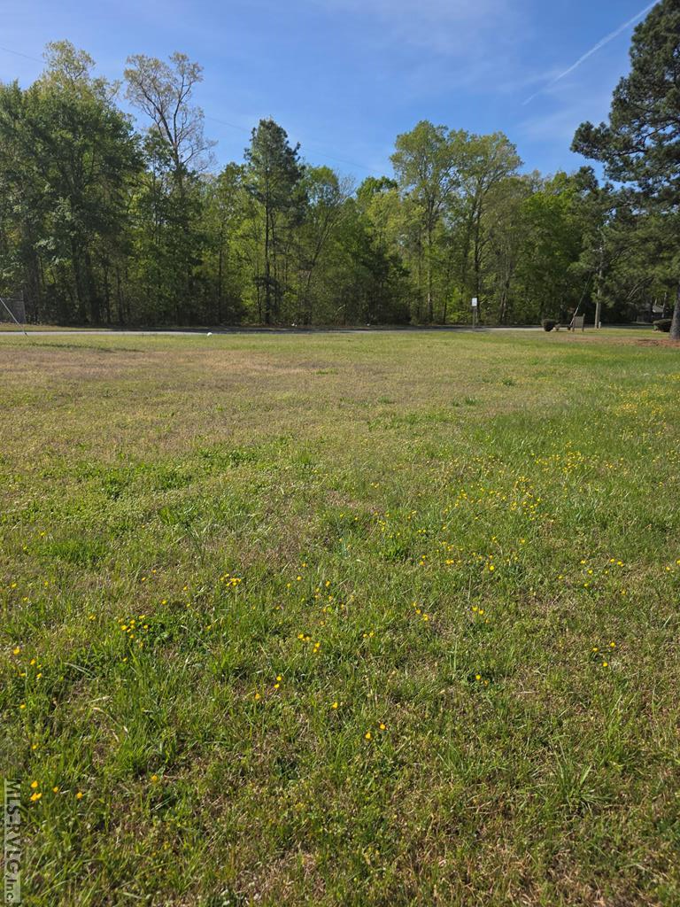 Lot #2 Georgia Ave Property Photo 1