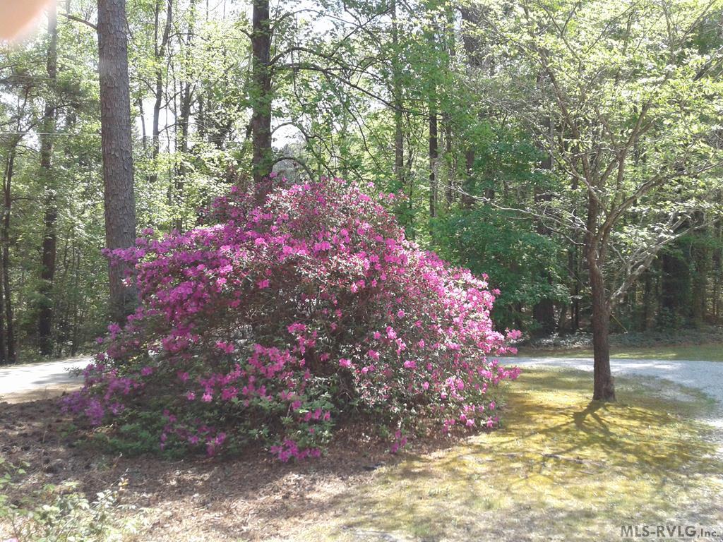 337 Longwood Drive Property Photo 3