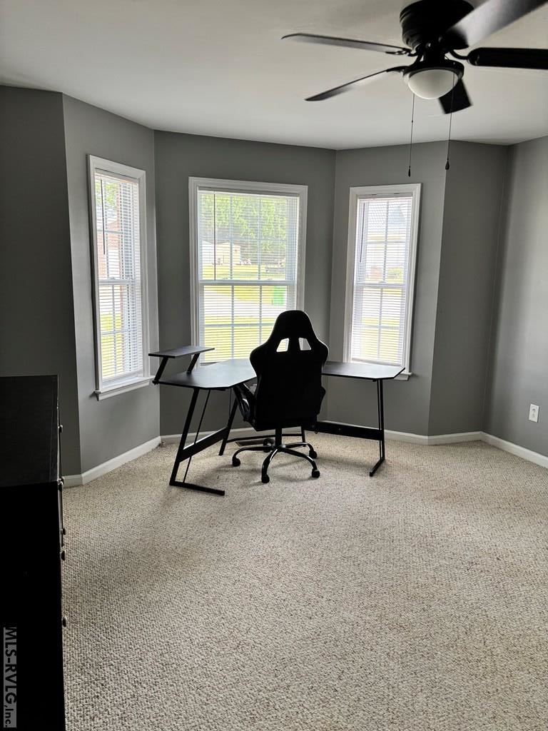 14 Canterbury Ct Property Photo 36