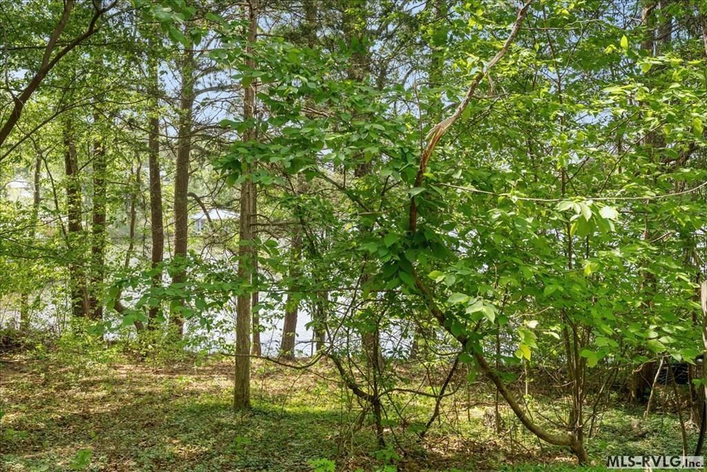 288 Lucky Lane Property Photo 39