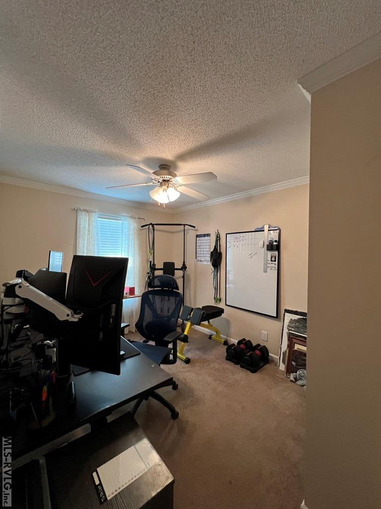 359 Boardman Drive Property Photo 19