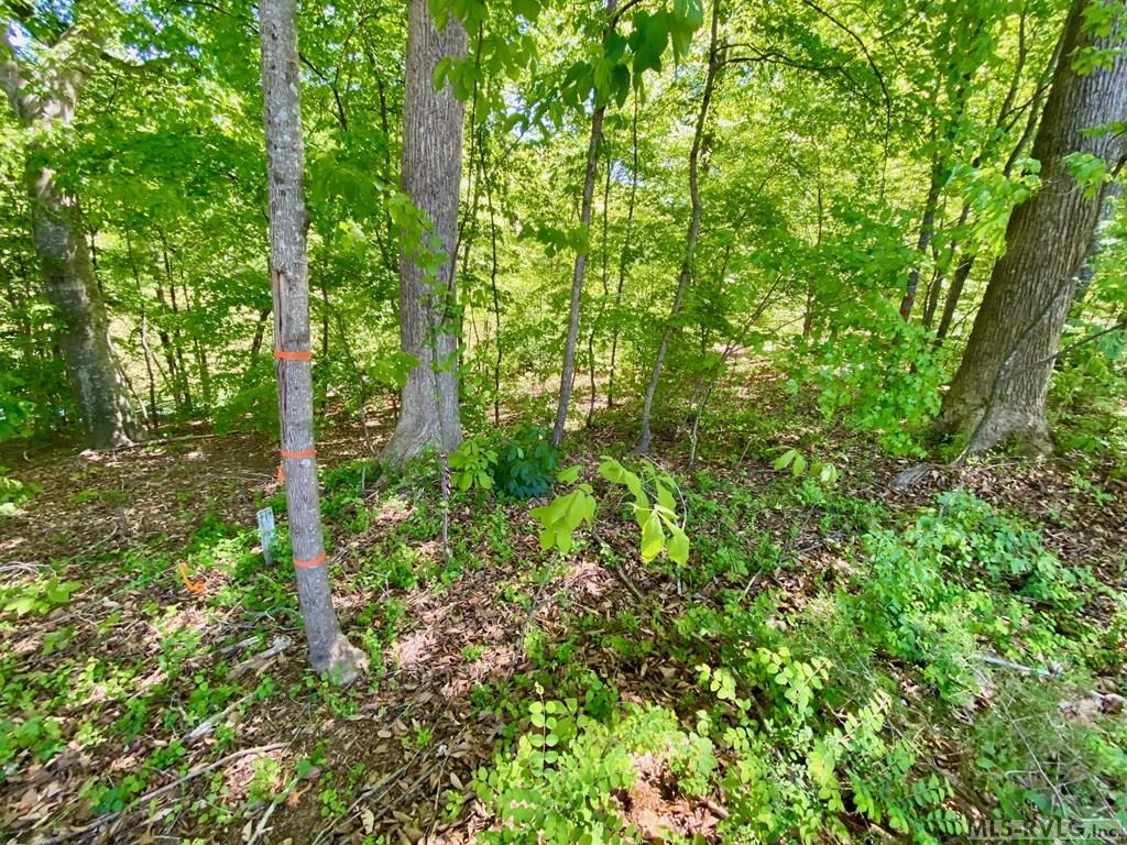 Lot 5 Palomino Road Property Photo 4