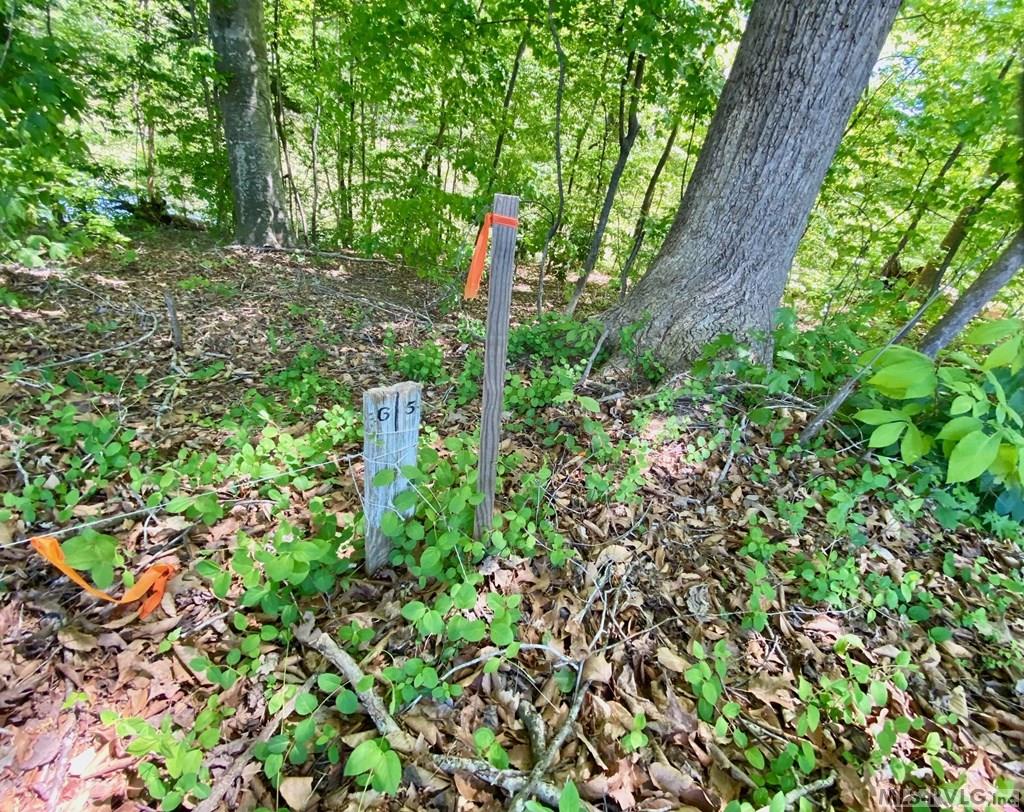 Lot 5 Palomino Road Property Photo 6