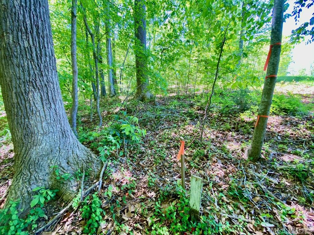 Lot 5 Palomino Road Property Photo 7