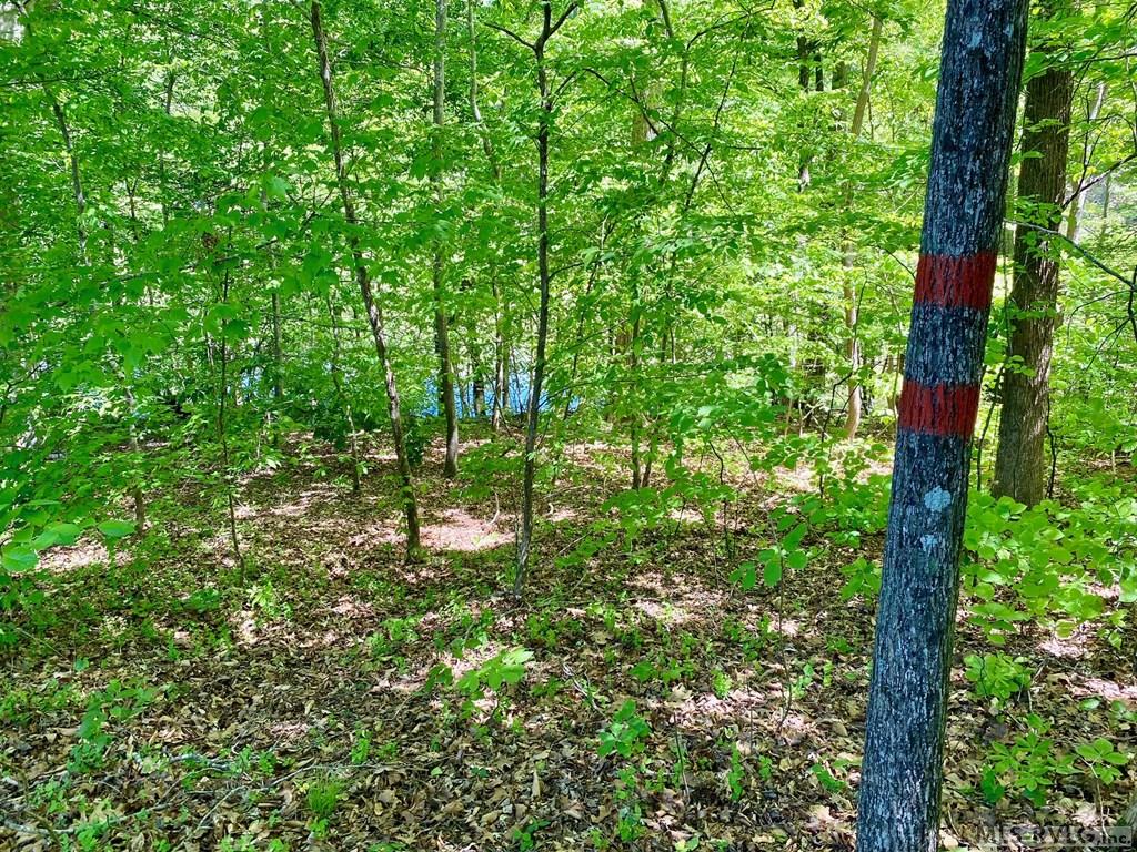Lot 5 Palomino Road Property Photo 9
