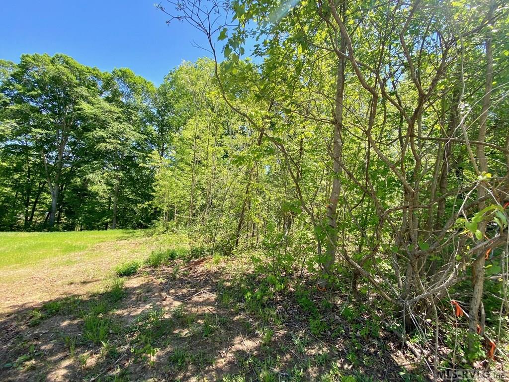 Lot 5 Palomino Road Property Photo 10