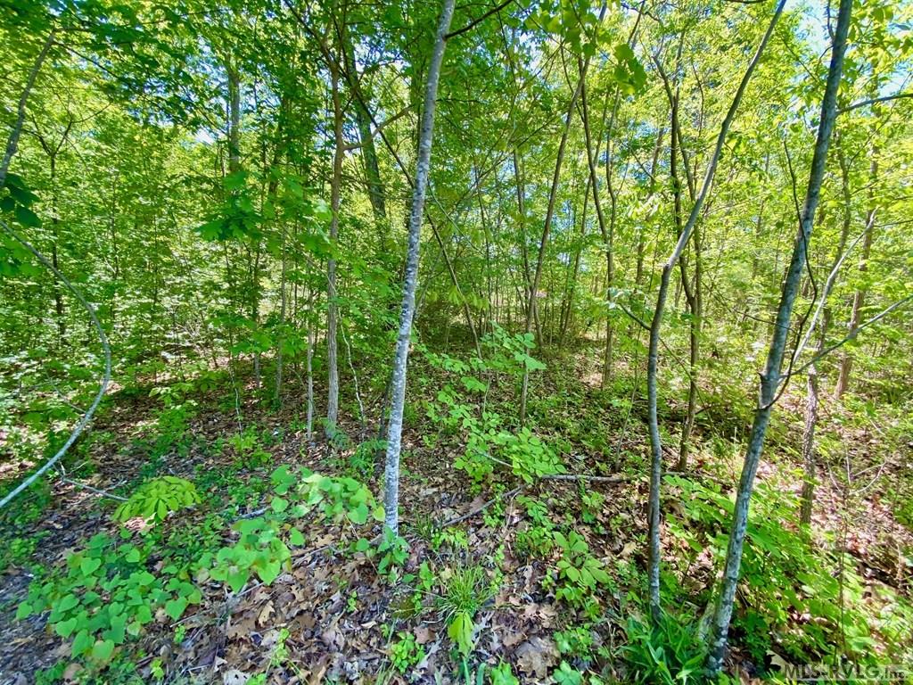 Lot 5 Palomino Road Property Photo 11