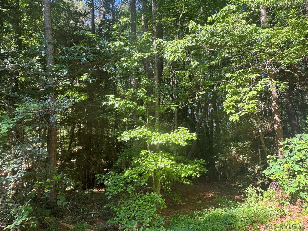 Lot 56P Hickory Ct Property Photo 1