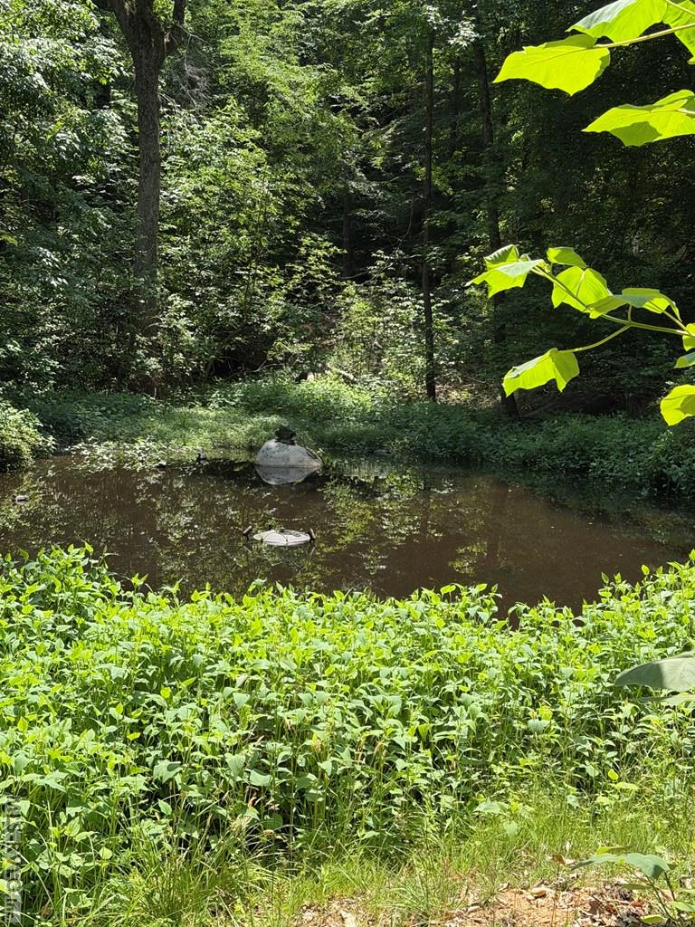 214 Riverside Trail Property Photo 2