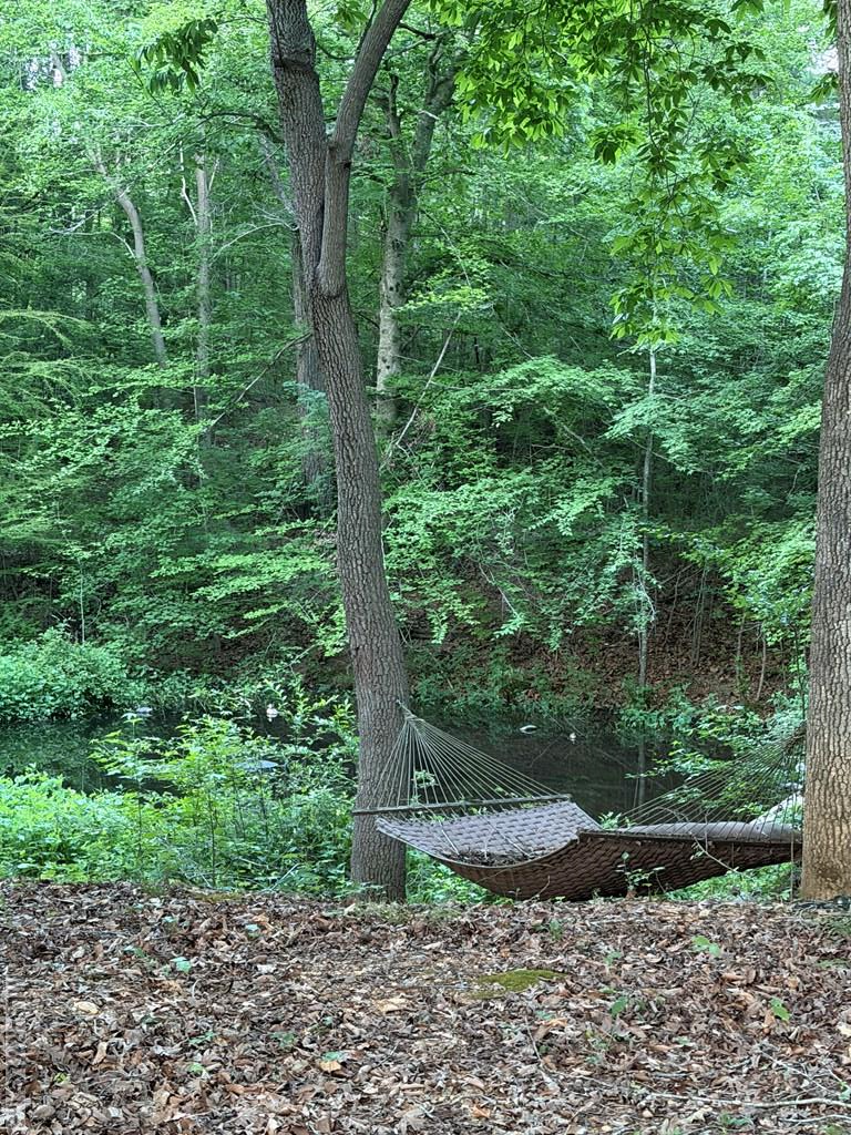 214 Riverside Trail Property Photo 6