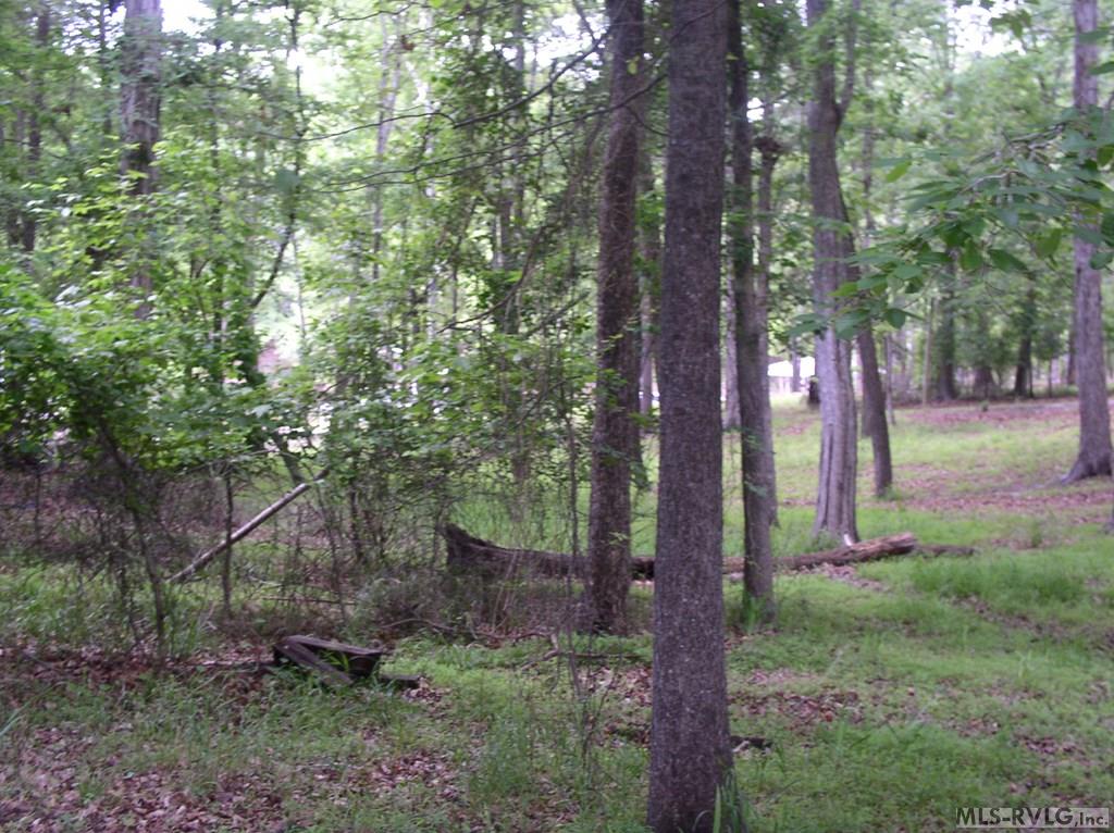 105 Oak Run Property Photo 2