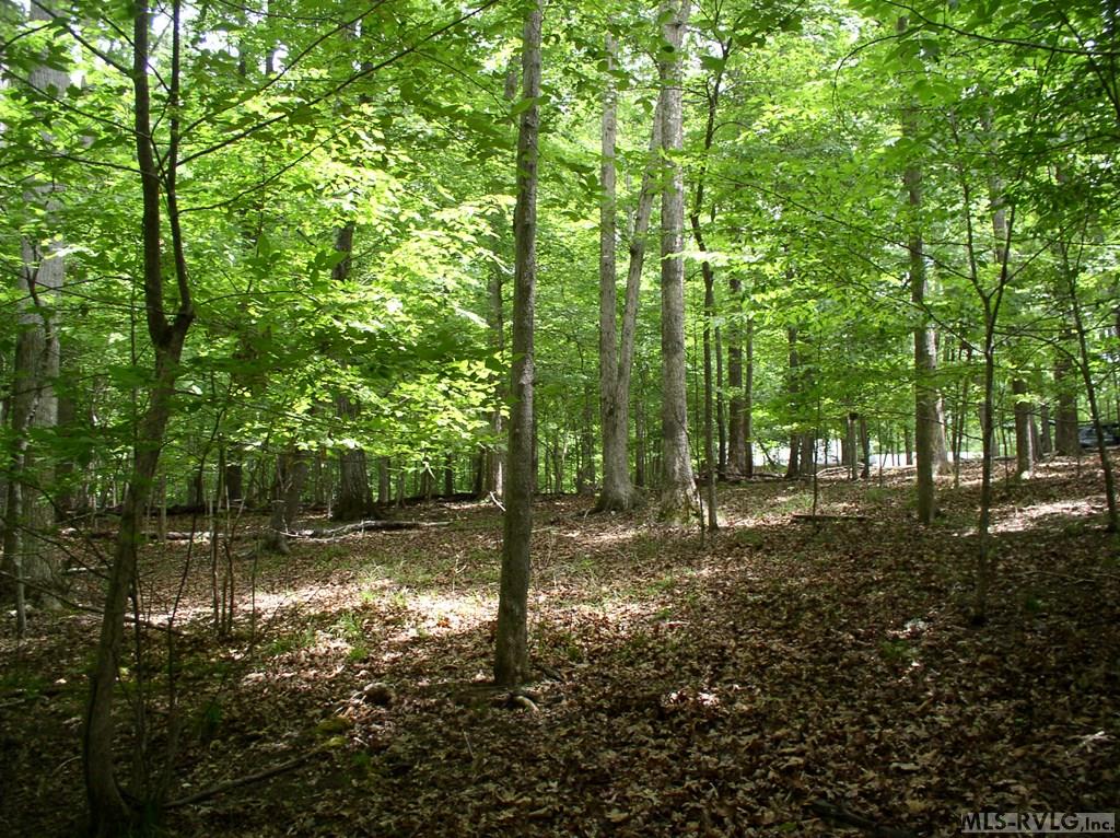 105 Oak Run Property Photo 5