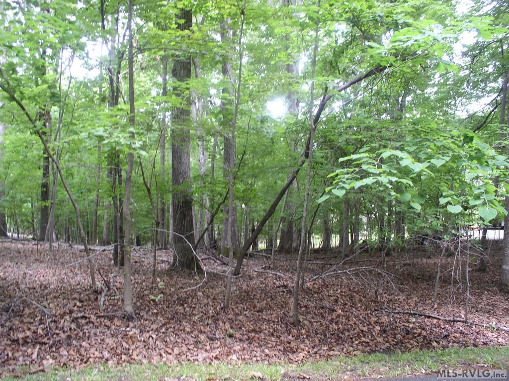 105 Oak Run Property Photo 6