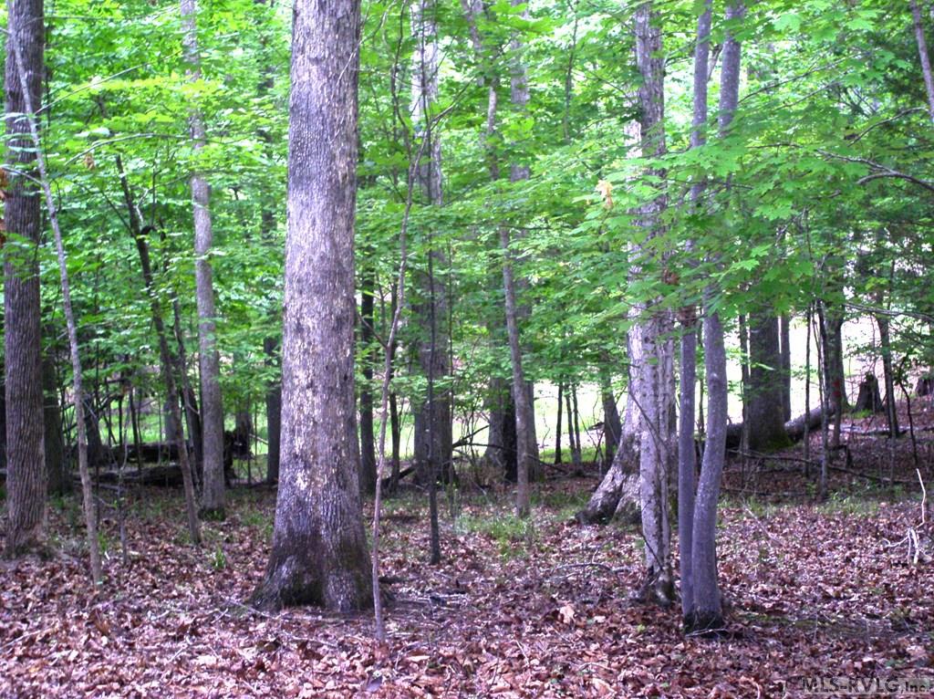 105 Oak Run Property Photo 7
