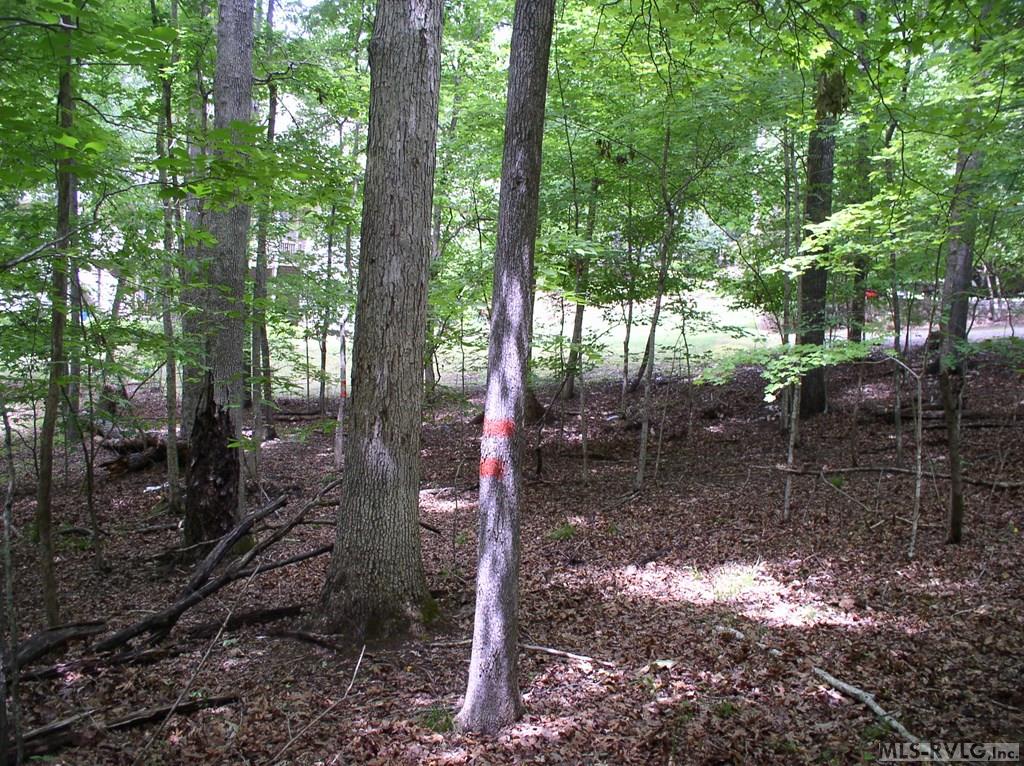 105 Oak Run Property Photo 8
