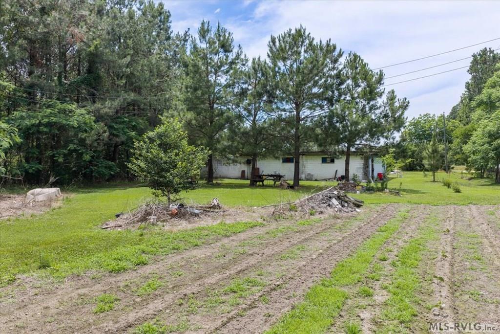 121 Sally Freeman Road Property Photo 7
