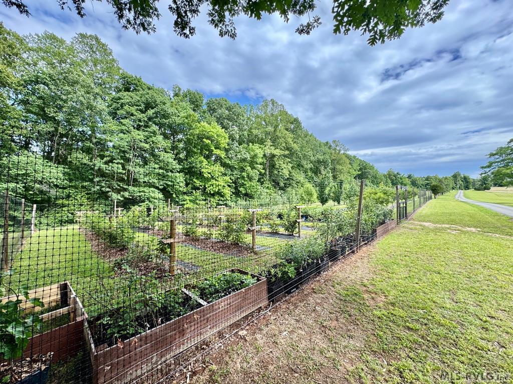 971 Big River Road Property Photo 42